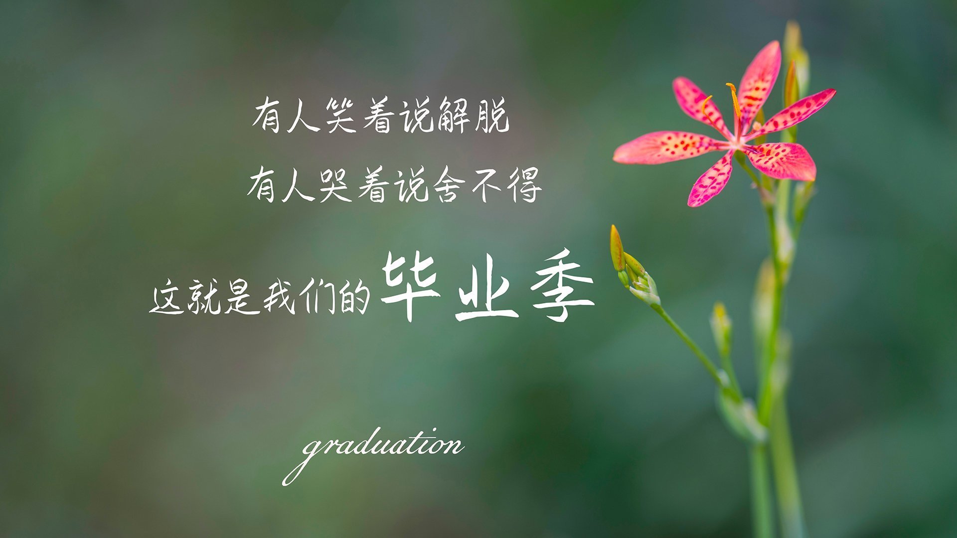 Jiuyou-2017年总决赛第二场：骑士在主场以多点开花战术击败勇士，勒布朗贡献33分和11个篮板，带队暂时领先。
