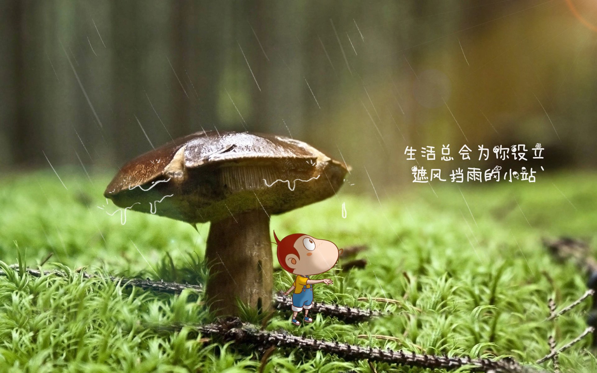 奇才球队球队整体配合更加默契，奇才队球场