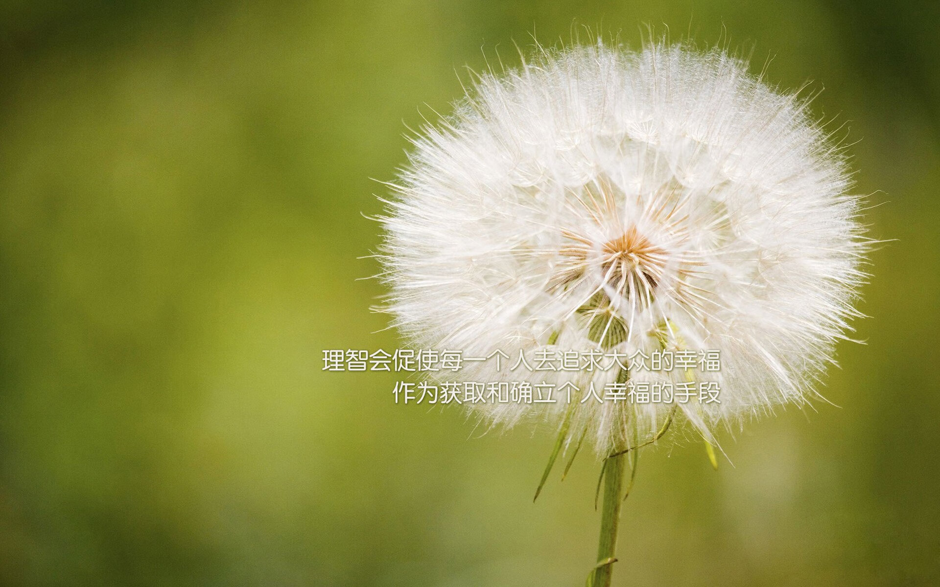 奇才球队球队整体配合更加默契，奇才队球场