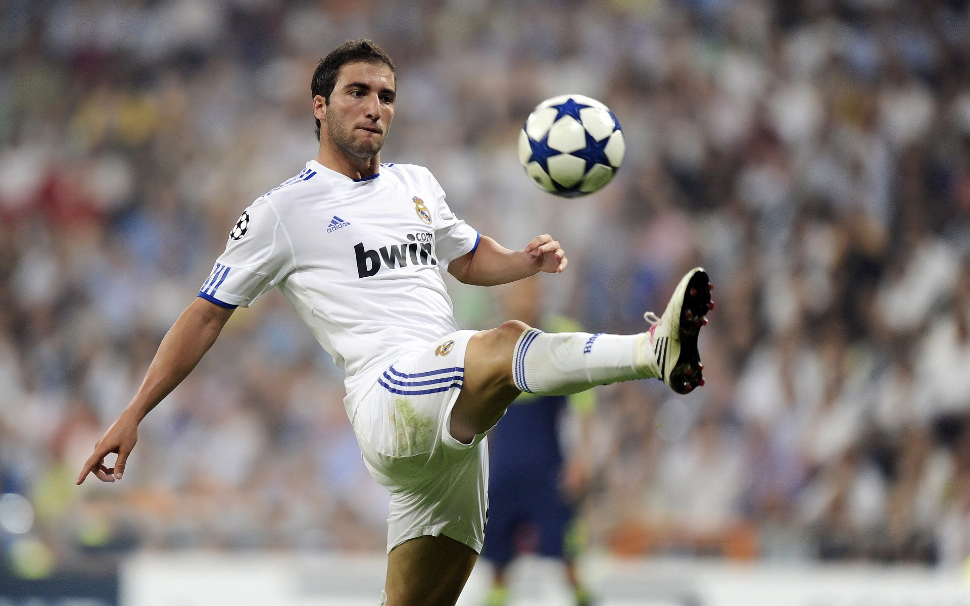 “足球+现代文学”融合,打造文化新品牌,足球文化文字